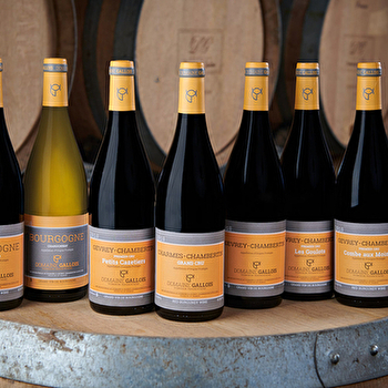 Gallois - GEVREY-CHAMBERTIN
