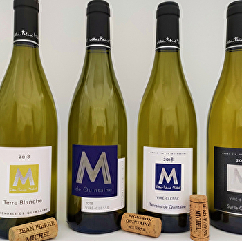 Michel Jean-Pierre Vigneron - CLESSE