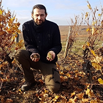 Les Chaumes - Bardin Jean-Jacques - POUILLY-SUR-LOIRE