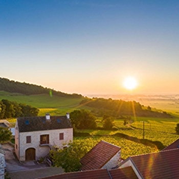Comtesse de Chérisey - Martelet Hélène et Laurent - PULIGNY-MONTRACHET
