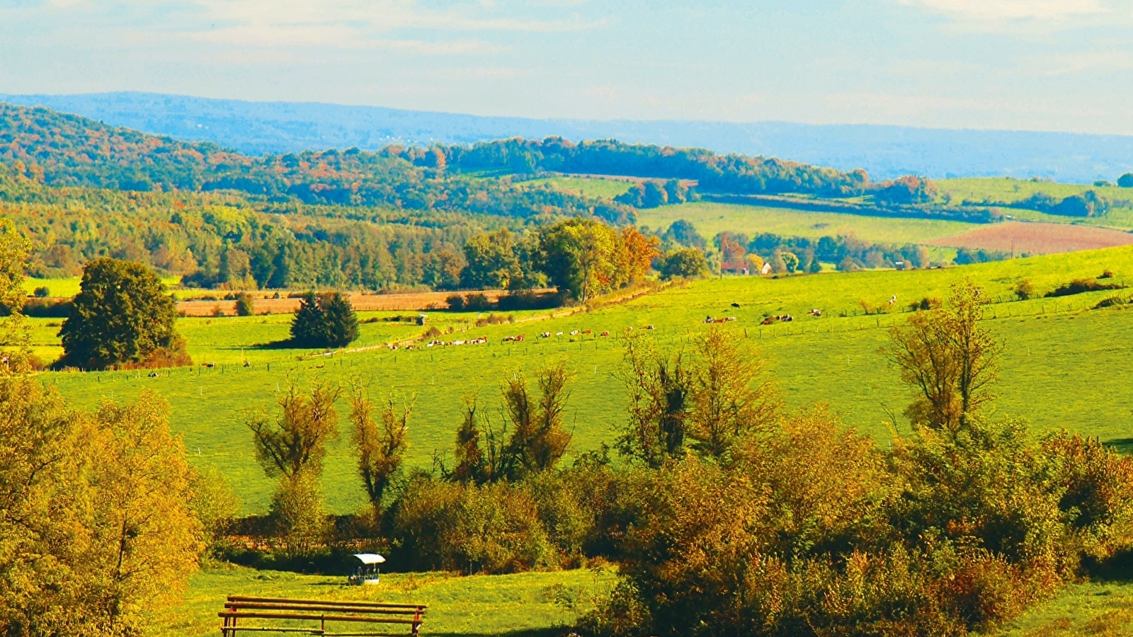 Circuit Les Belles Vues
