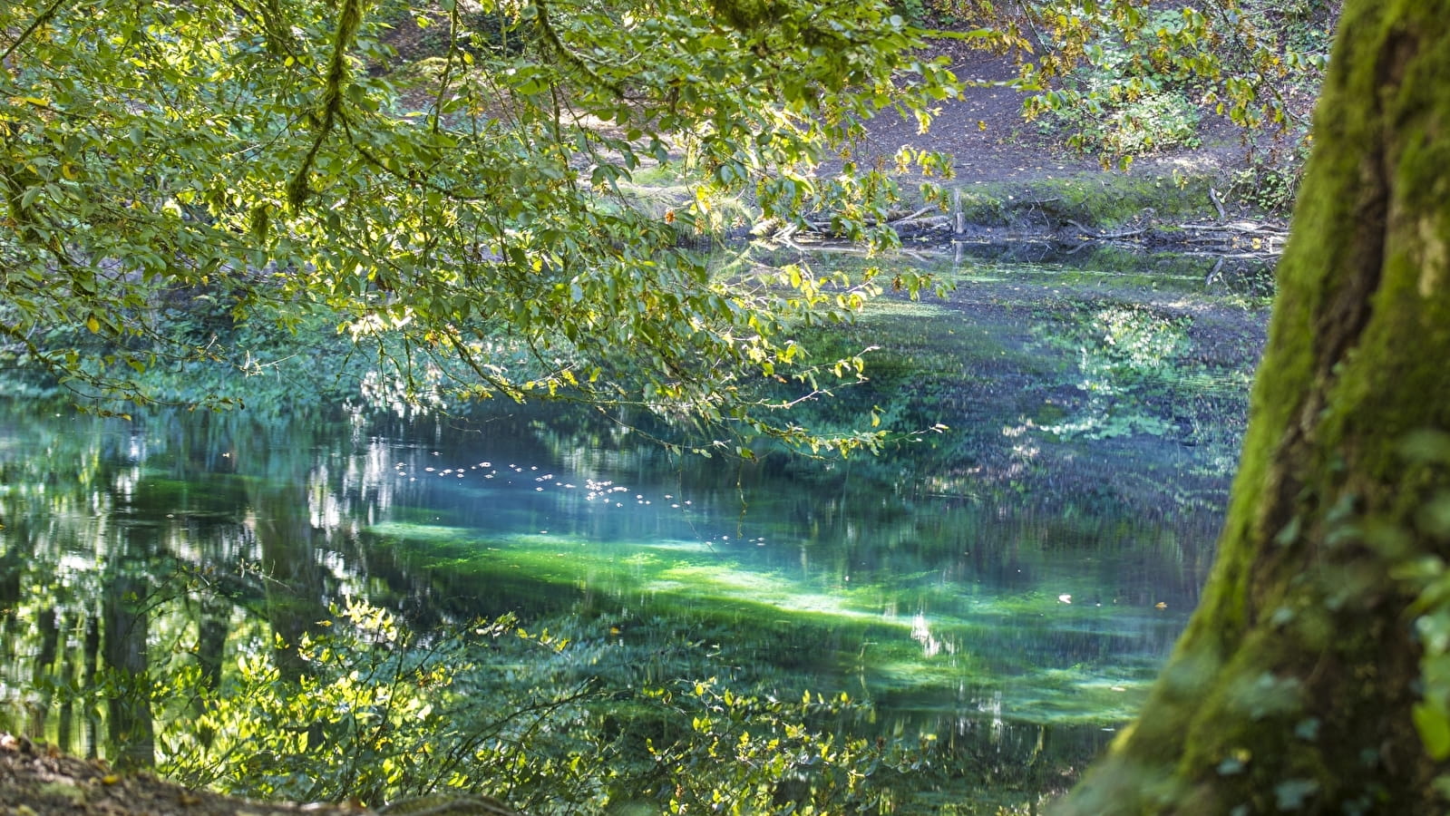 Circuit patrimonial de la Source du Planey