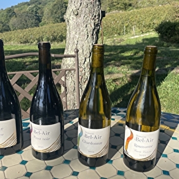 Domaine de Bel Air - CULOZ