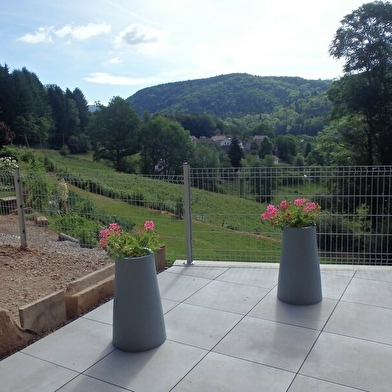 Villa Cora Venez 4 étoiles SPA privatif - Neuf- Vosges du Sud