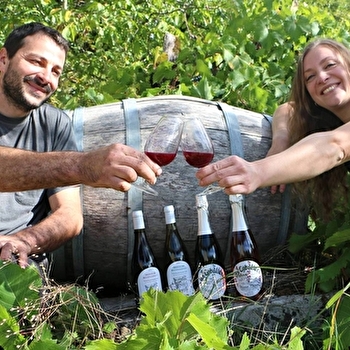 Vignoble Vincent Cheviet à Bucey les Gy - BUCEY-LES-GY