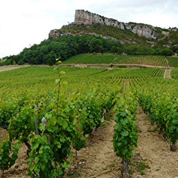 Fagot David - FUISSE