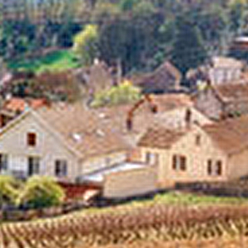 Rossignol-Cornu et Fils - VOLNAY