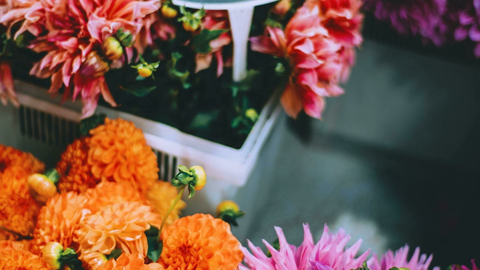 Foire aux fleurs & jardins