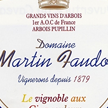 Domaine Martin Faudot & Fils - MESNAY