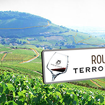 Route des Vins Terroirs originels - QUINCIE-EN-BEAUJOLAIS