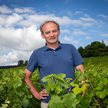 Morot Albert - BEAUNE