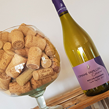 Papillon Catherine - PERONNE