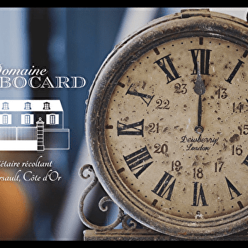 Bocard Guy - MEURSAULT