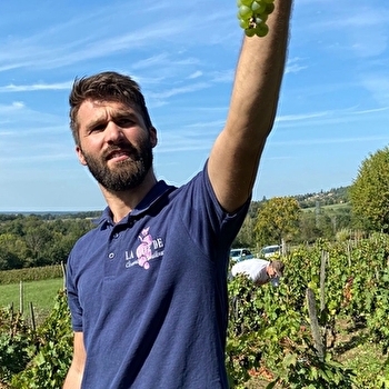 La Cave de Corentin Bouilloux - Vigneron - SAINT-MARTIN-DU-MONT