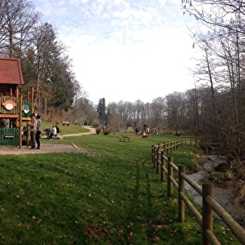 Forêt du Banney - LUXEUIL-LES-BAINS