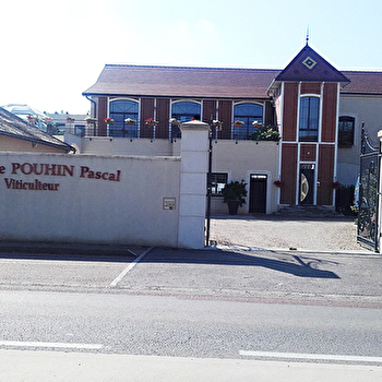 Pouhin Pascal - MEURSAULT