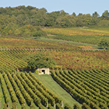 Coteau de Mialoup - AZE