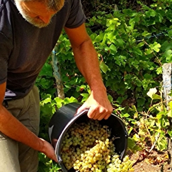 Fil Rouge - SAINT-JULIEN-DE-JONZY