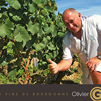 Guyot Olivier - MARSANNAY-LA-COTE