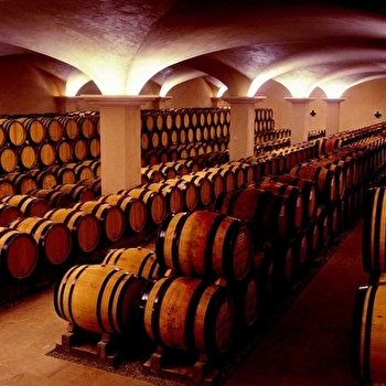 Labouré-Roi - NUITS-SAINT-GEORGES