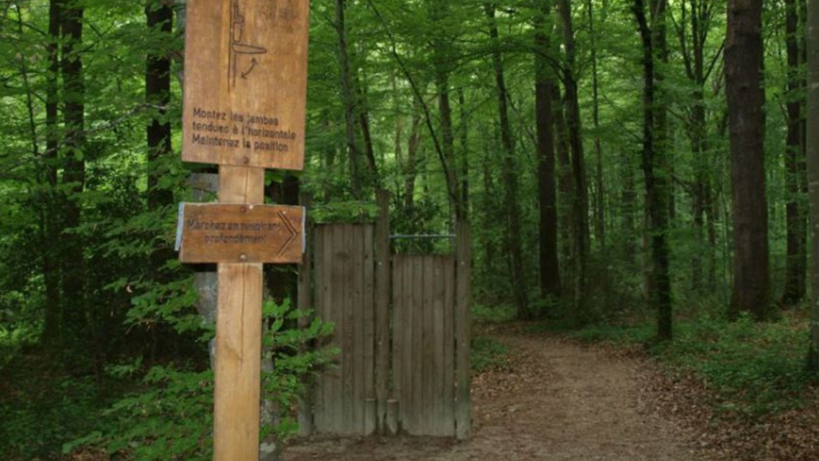 Parcours de santé à Châtenois