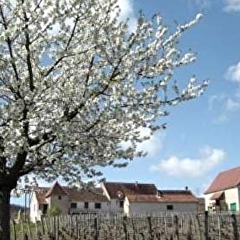 Andreotti Michel - SAINT-VALLERIN