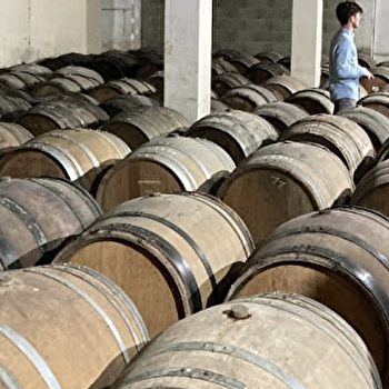 Domaine Vapillon - LONS-LE-SAUNIER