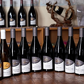 Legou Vincent - NUITS-SAINT-GEORGES