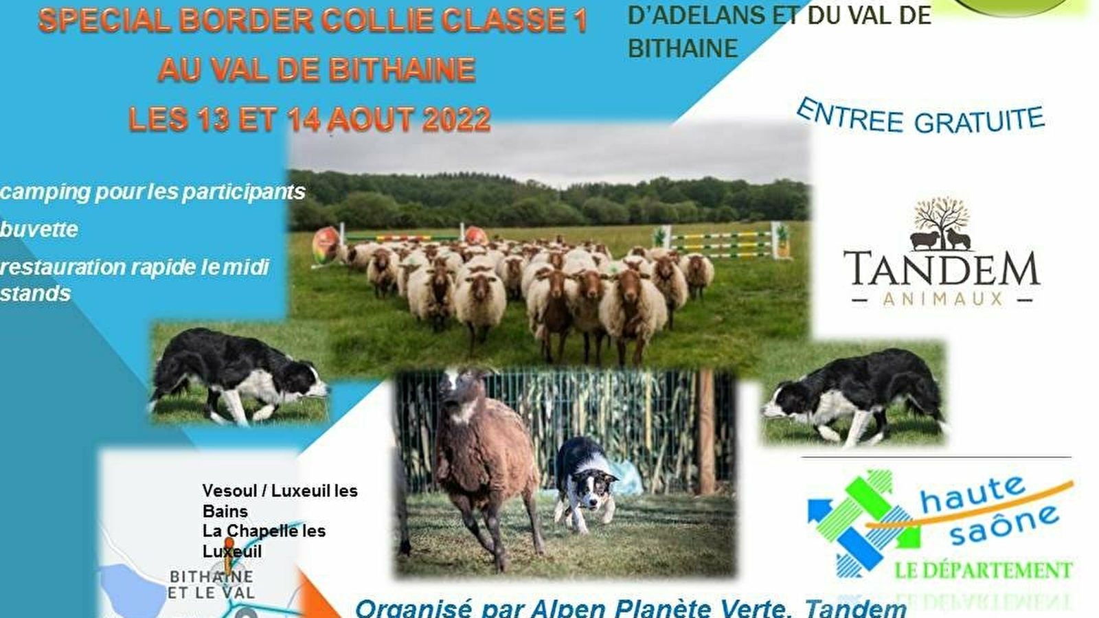 Concours de chiens de troupeau