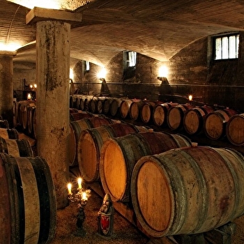 Les Hauts de Chénas - CHENAS