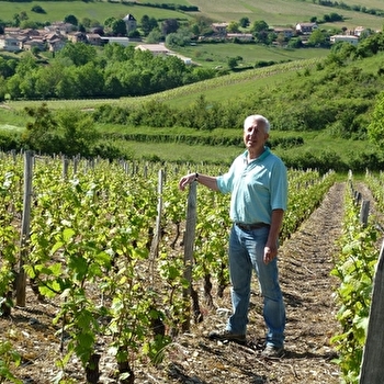 Domaine de la Jobeline - VERZE