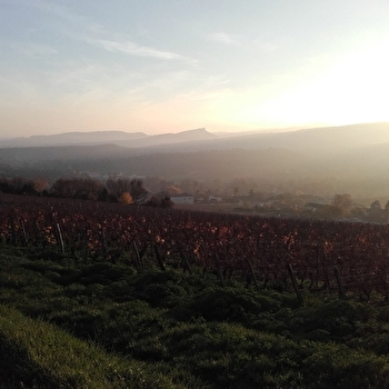 Gueugnon Remond - CHARNAY-LES-MACON