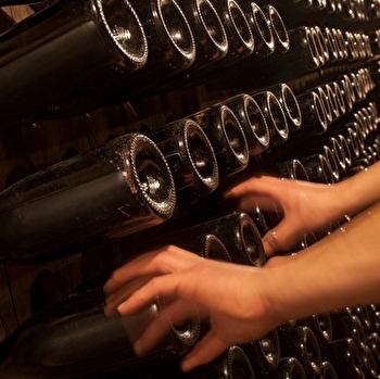 Parigot Richard - SAVIGNY-LES-BEAUNE