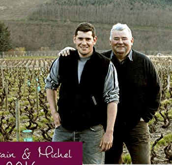 Domaine du Clos du Fief - JULIENAS