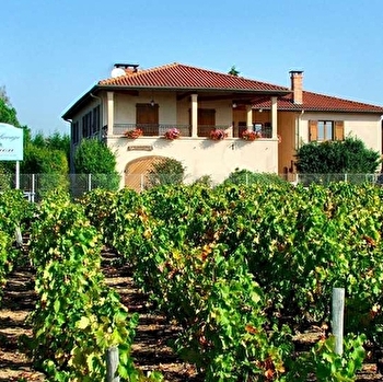 Domaine Henri Servage - VILLIE-MORGON