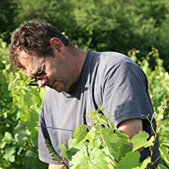 Domaine du Clos Gandin - PLOTTES