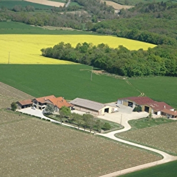 Domaine de Naisse -Brenot Beranger - LAIZE