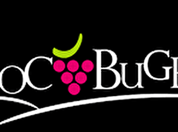 Caveau Xavier Barbe - JUJURIEUX