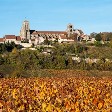 Le Cellier de l'abbaye - Domaine Martin Barbieux