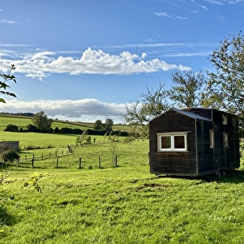 Les oiseaux rares - JASNEY