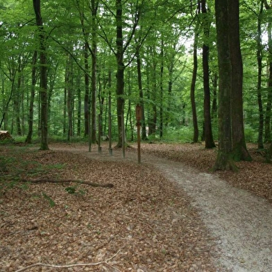 Parcours de santé à Châtenois