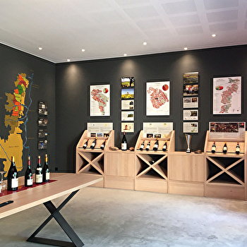 Le caveau du Château de Fleurie - FLEURIE