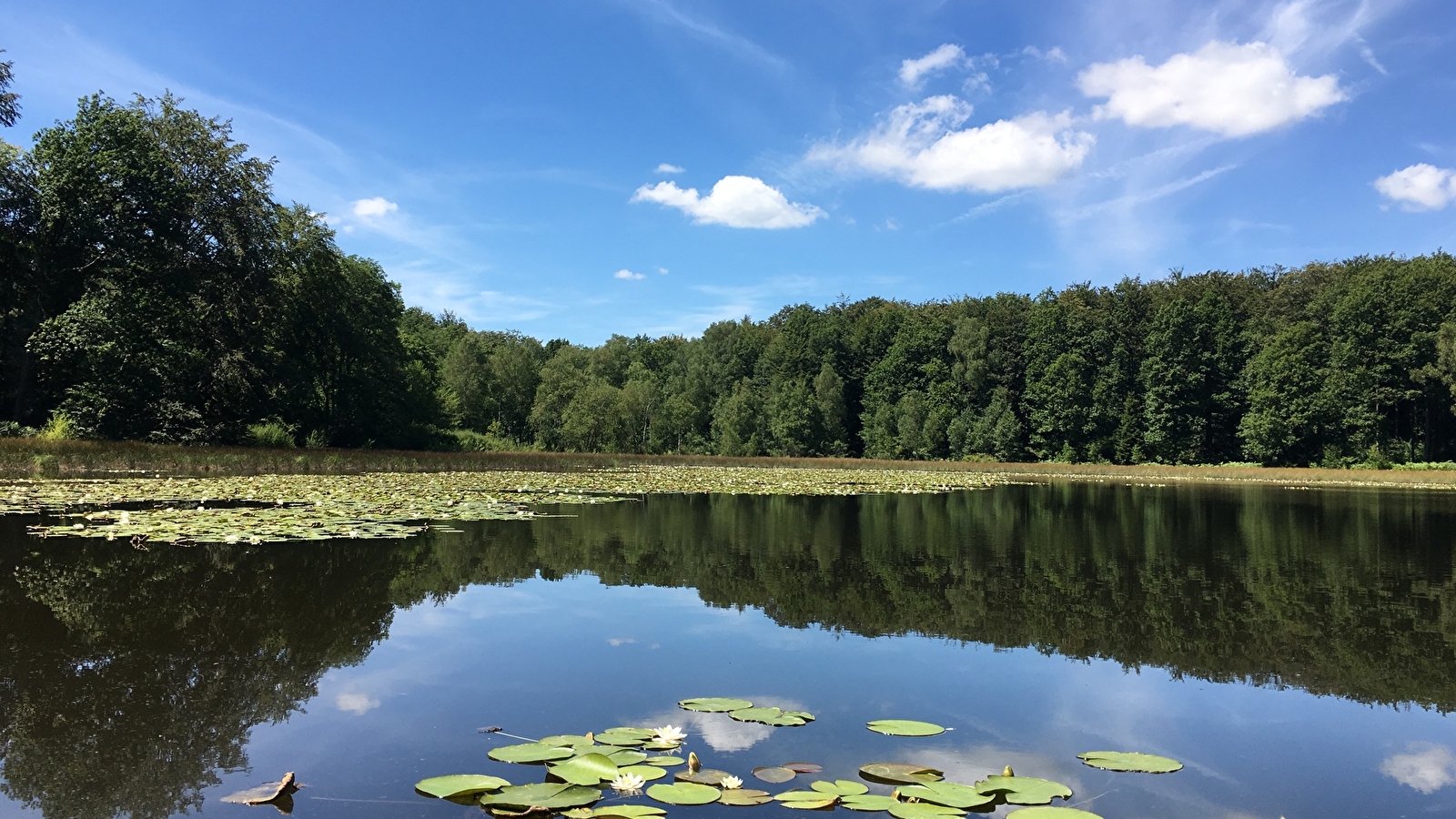 Circuit des Pierres et des Etangs