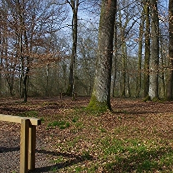 Parcours de santé à St Sauveur - SAINT-SAUVEUR