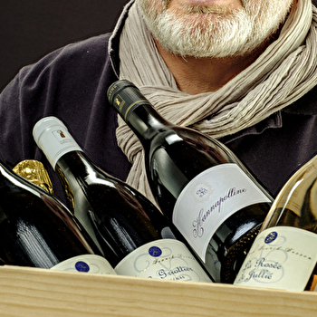 Domaine Franck BESSON - JULLIE