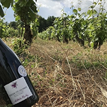 Richez Nathalie - CHAGNY