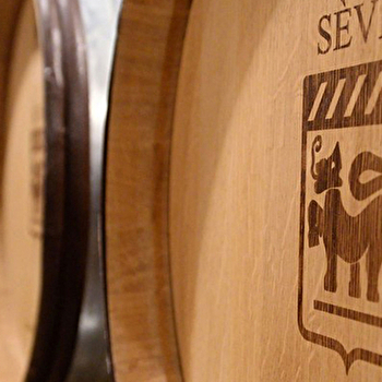 Sève - SOLUTRE-POUILLY