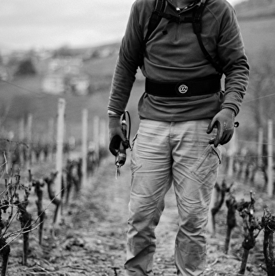 Domaine Nicolas Boudeau