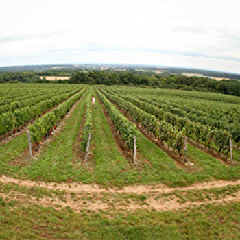 Domaine de la Pâturie - CHAMPLITTE