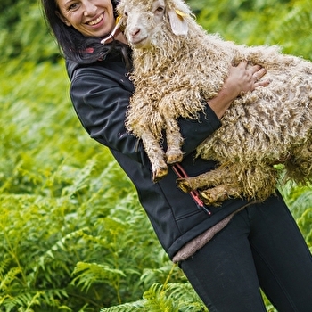 Le Mohair des Petits Sentiers - SAINT-BRESSON